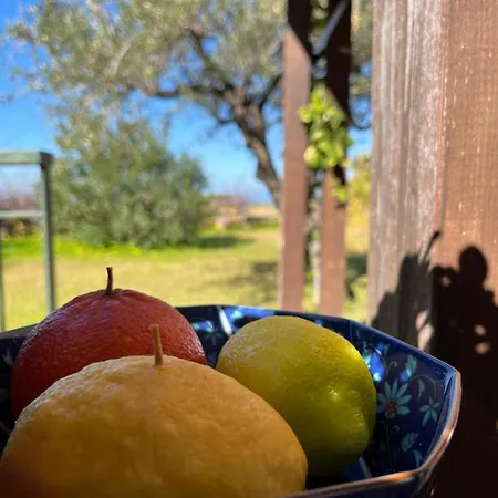 La Palma Cefalù